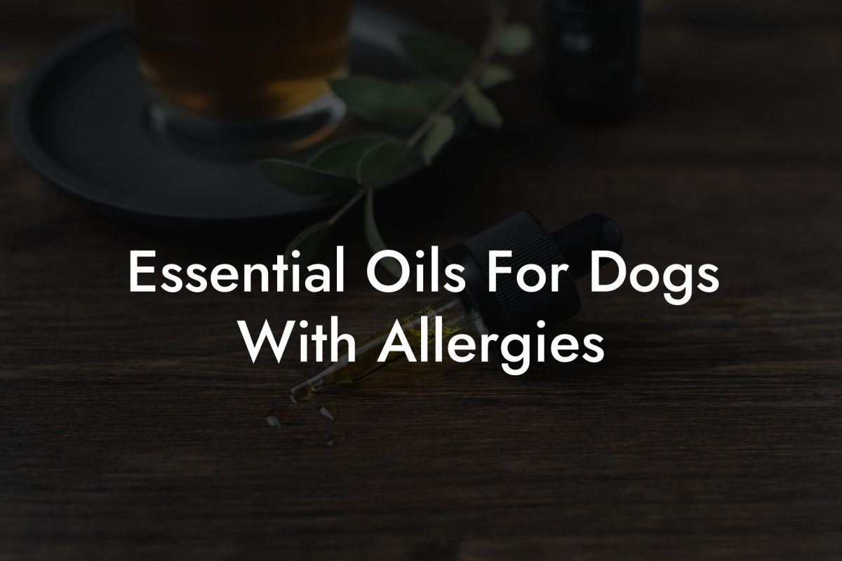 Essential Oils For Dogs With Allergies