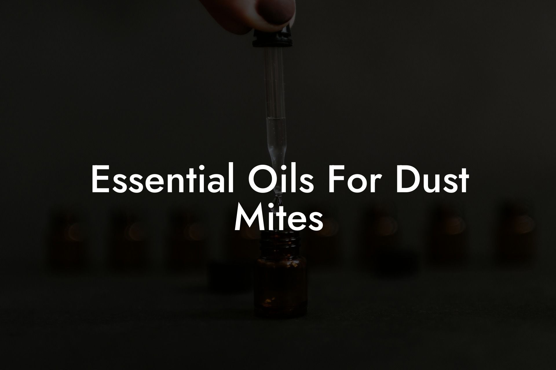 Essential Oils For Dust Mites