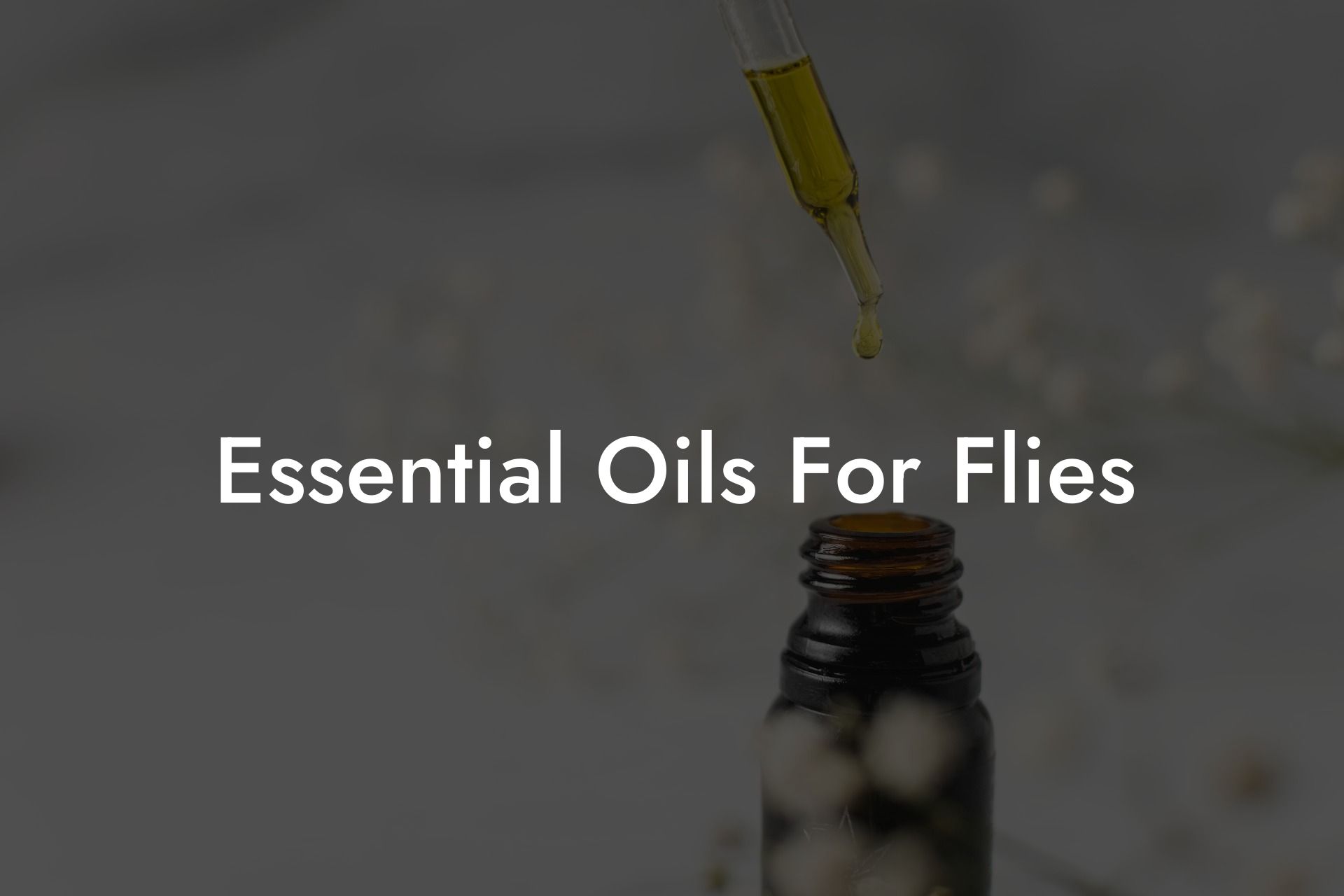 Essential Oils For Flies