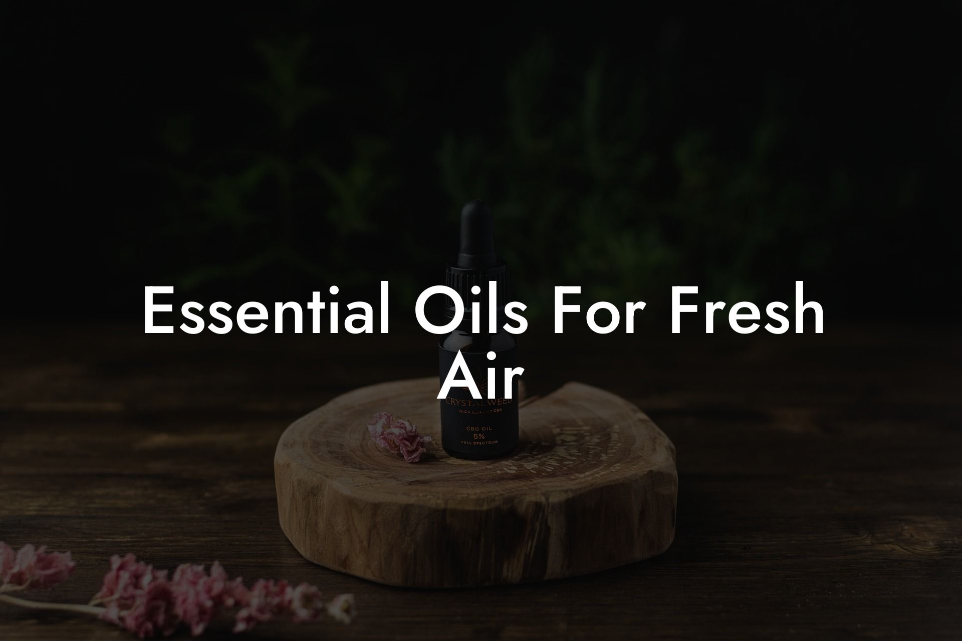 Essential Oils For Fresh Air