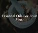 Essential Oils For Fruit Flies