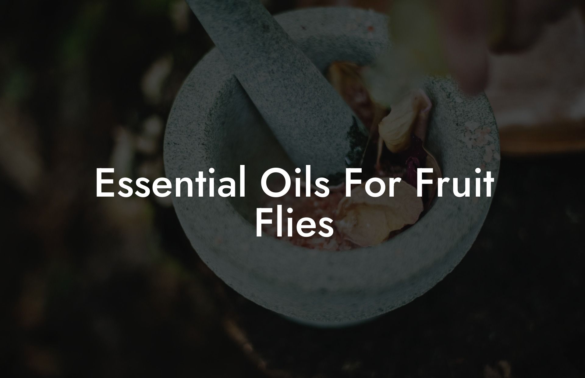 Essential Oils For Fruit Flies