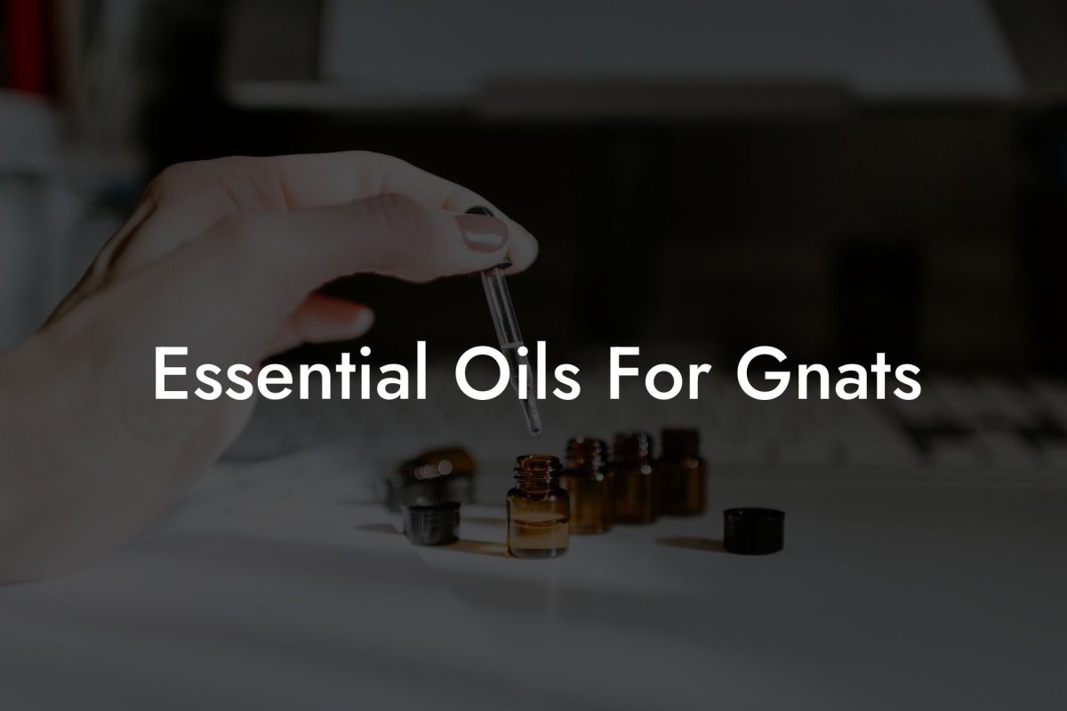 Essential Oils For Gnats