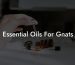 Essential Oils For Gnats