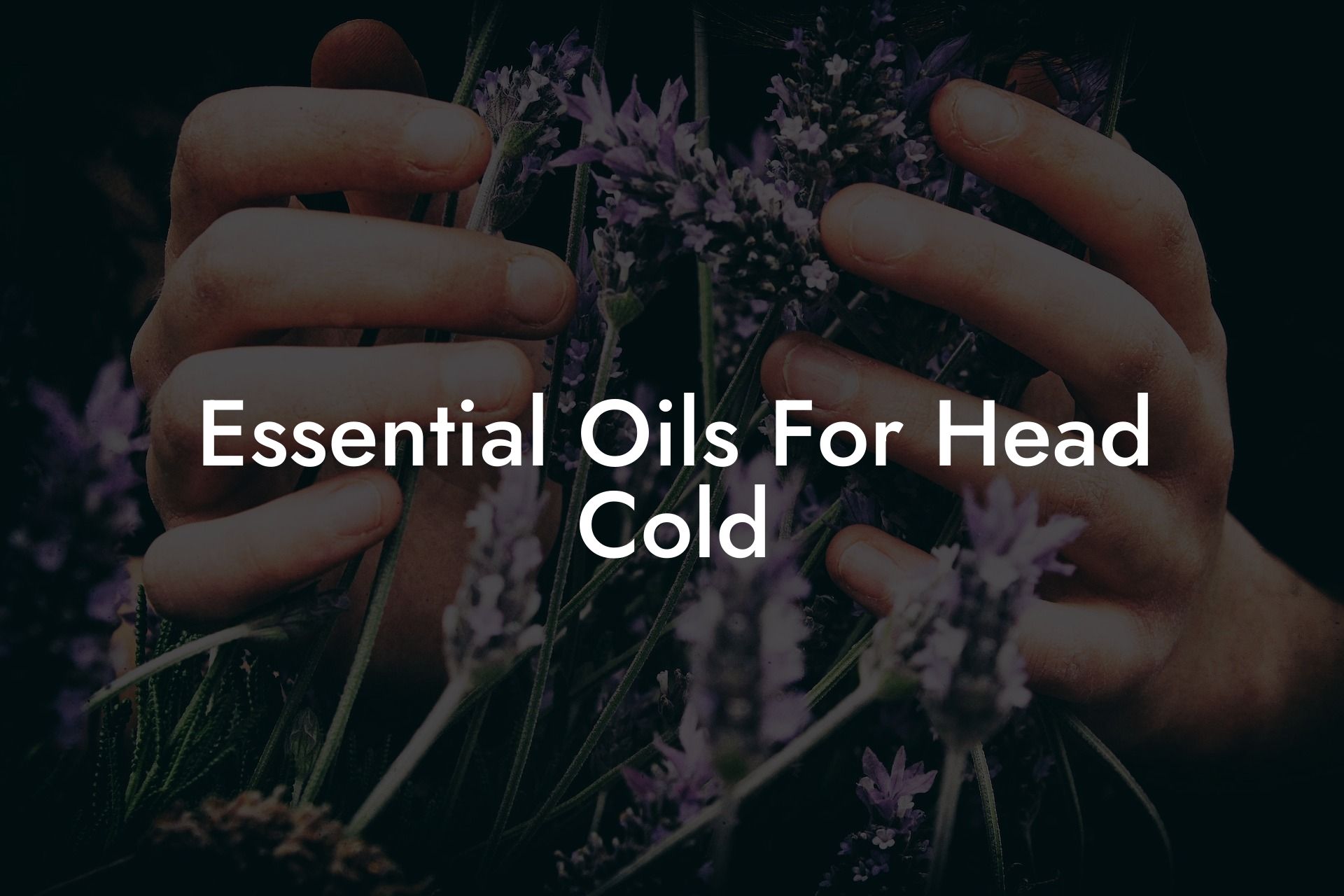 Essential Oils For Head Cold