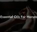 Essential Oils For Horses