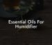 Essential Oils For Humidifier