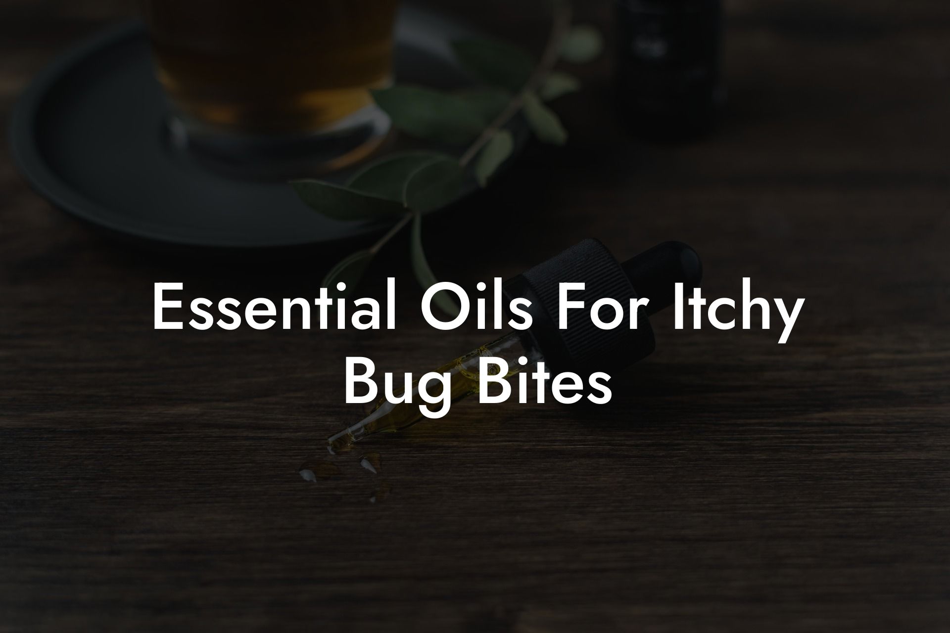 Essential Oils For Itchy Bug Bites