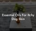 Essential Oils For Itchy Dog Skin
