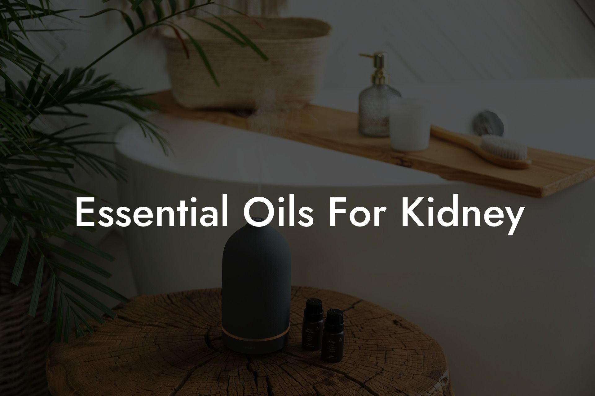 Essential Oils For Kidney