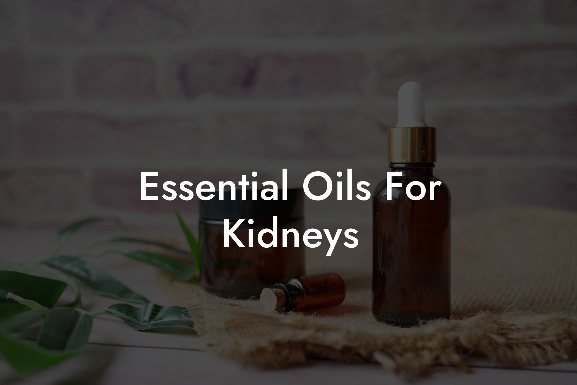 Essential Oils For Kidneys