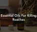 Essential Oils For Killing Roaches