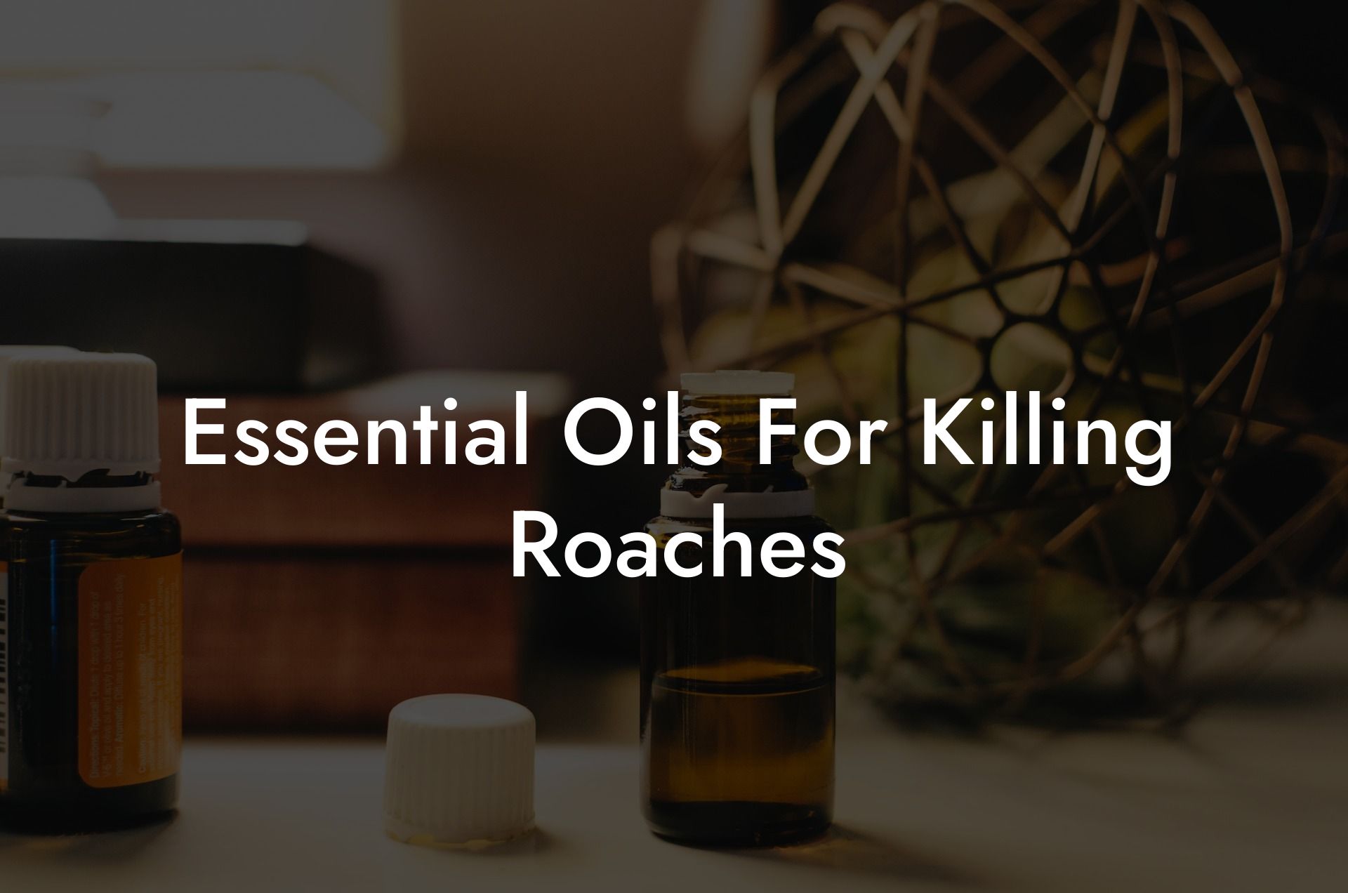 Essential Oils For Killing Roaches
