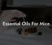 Essential Oils For Mice