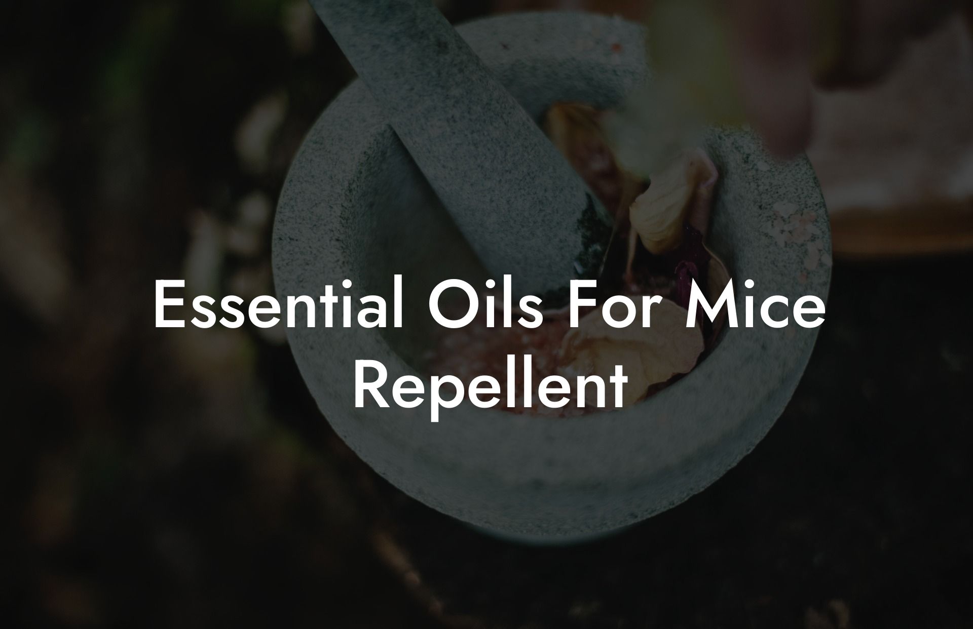 Essential Oils For Mice Repellent