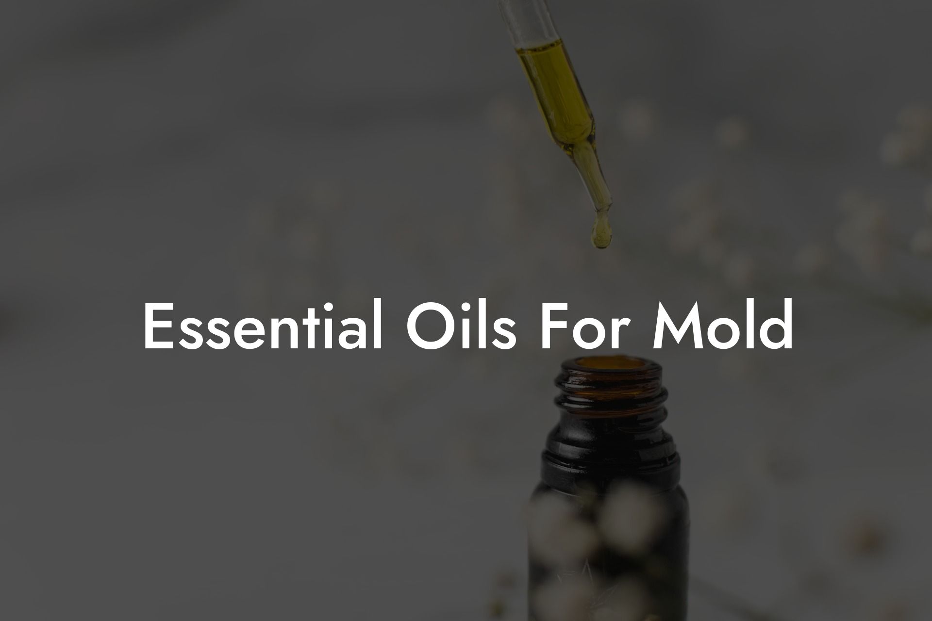 Essential Oils For Mold