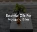 Essential Oils For Mosquito Bites