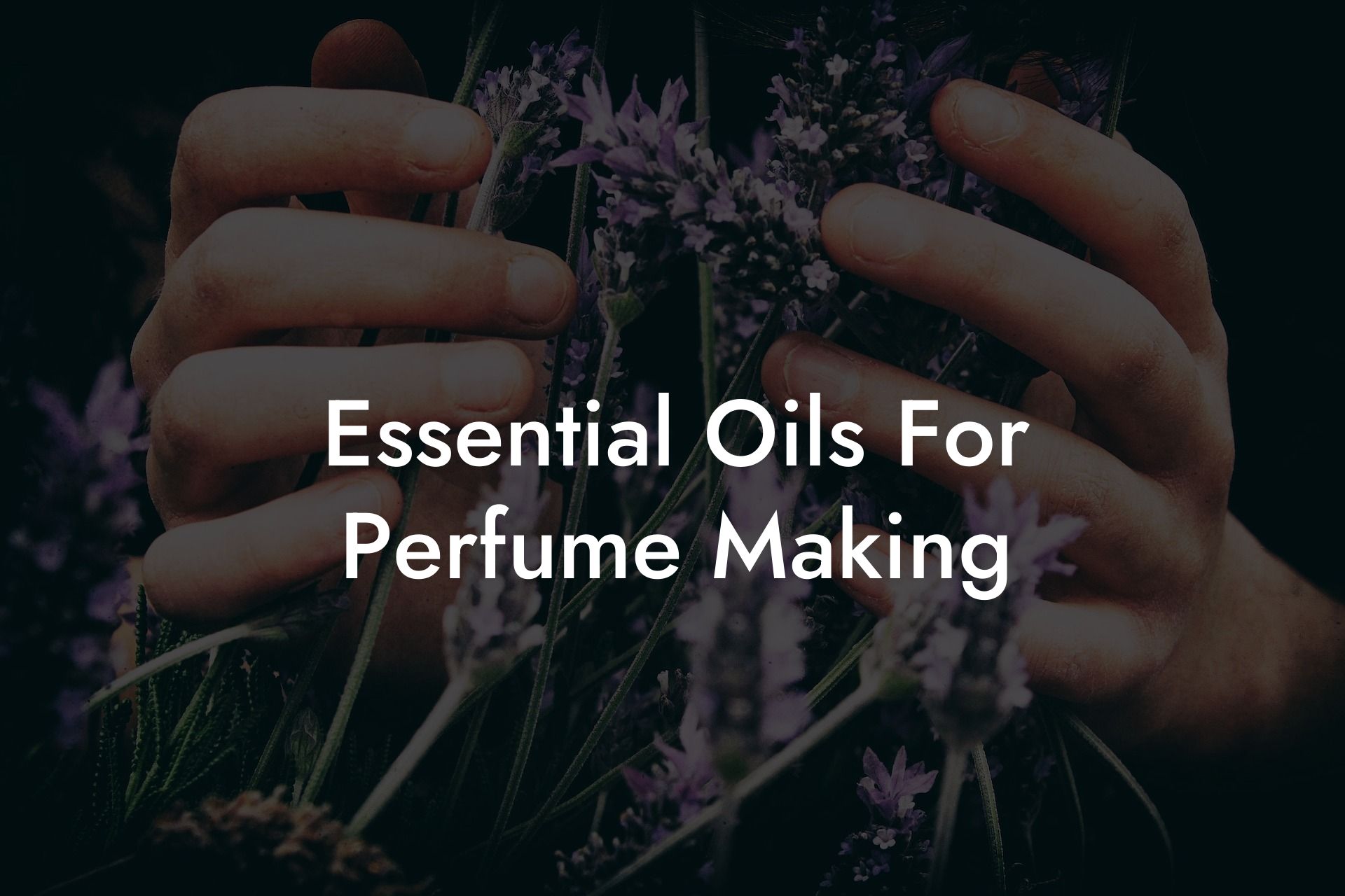 Essential Oils For Perfume Making