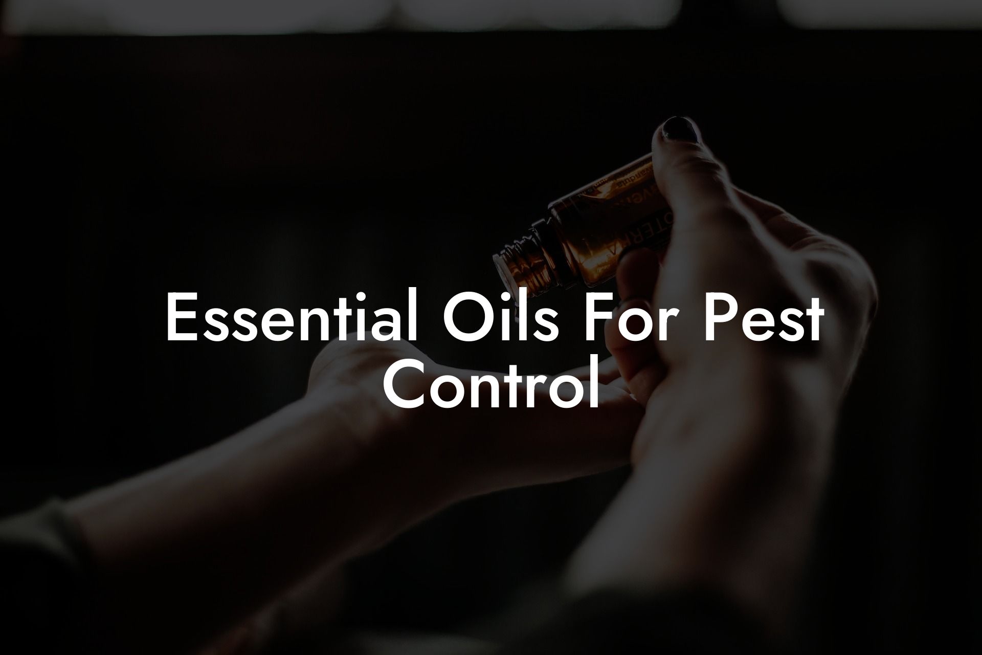 Essential Oils For Pest Control
