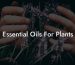 Essential Oils For Plants