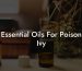 Essential Oils For Poison Ivy
