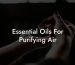 Essential Oils For Purifying Air
