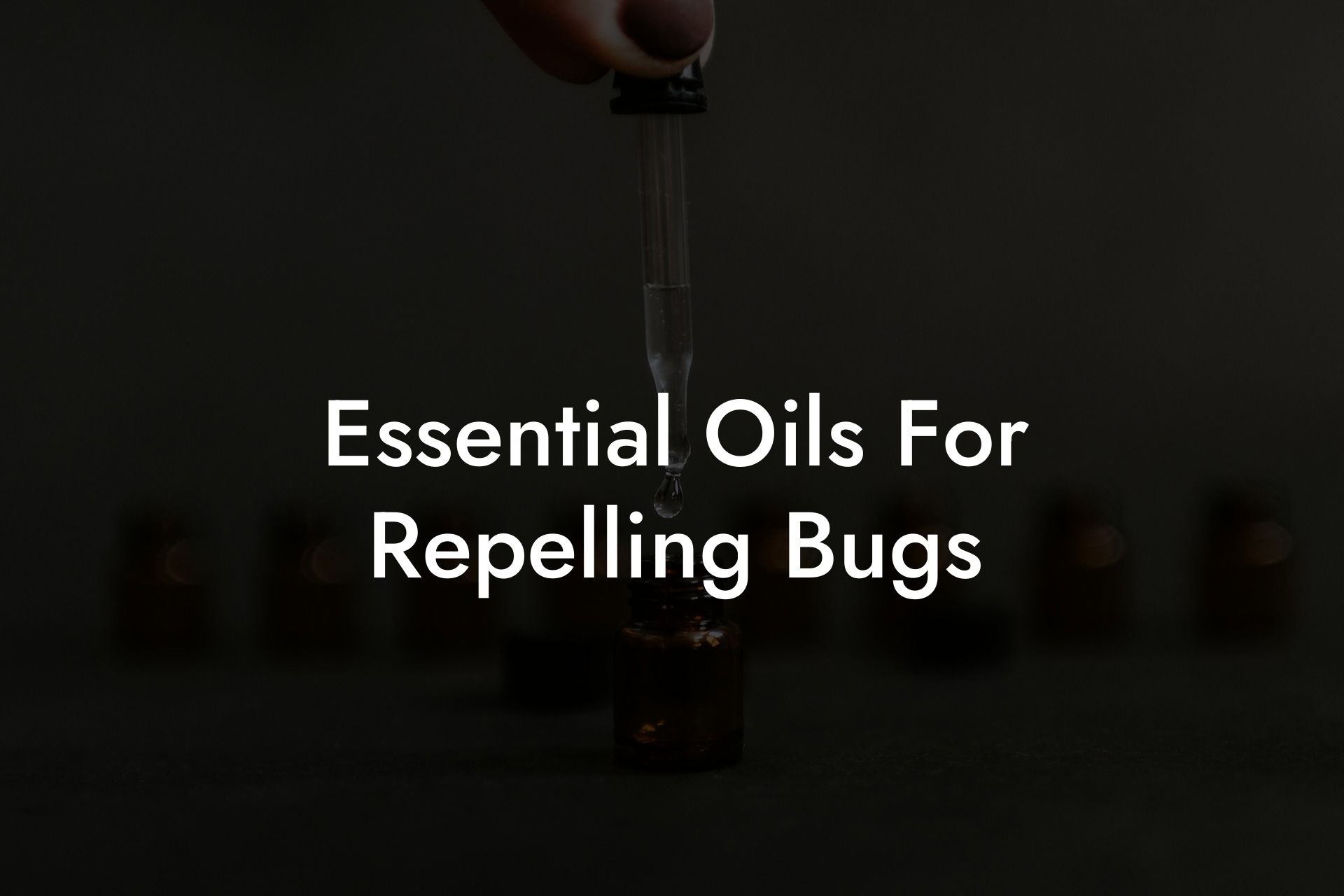 Essential Oils For Repelling Bugs