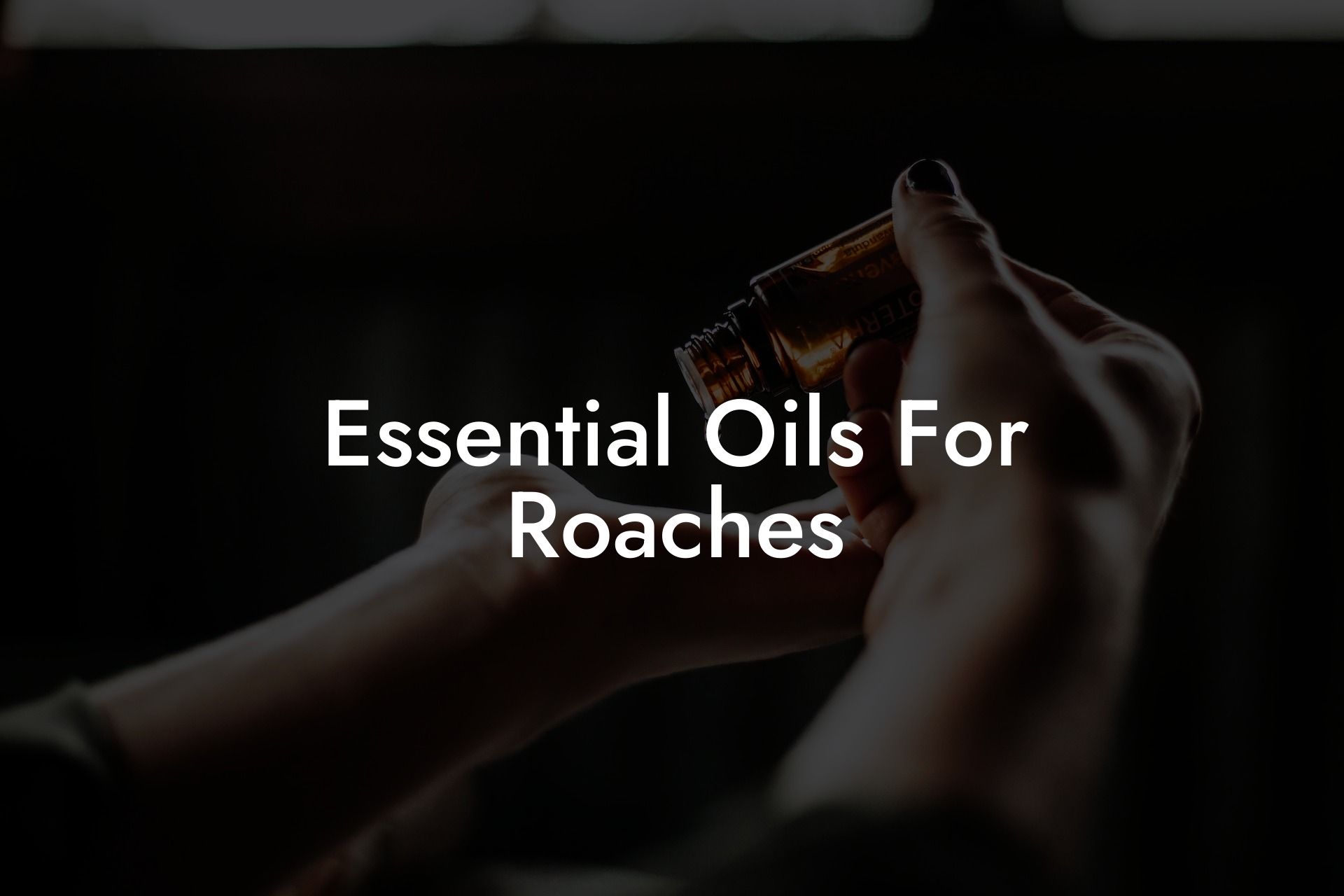 Essential Oils For Roaches
