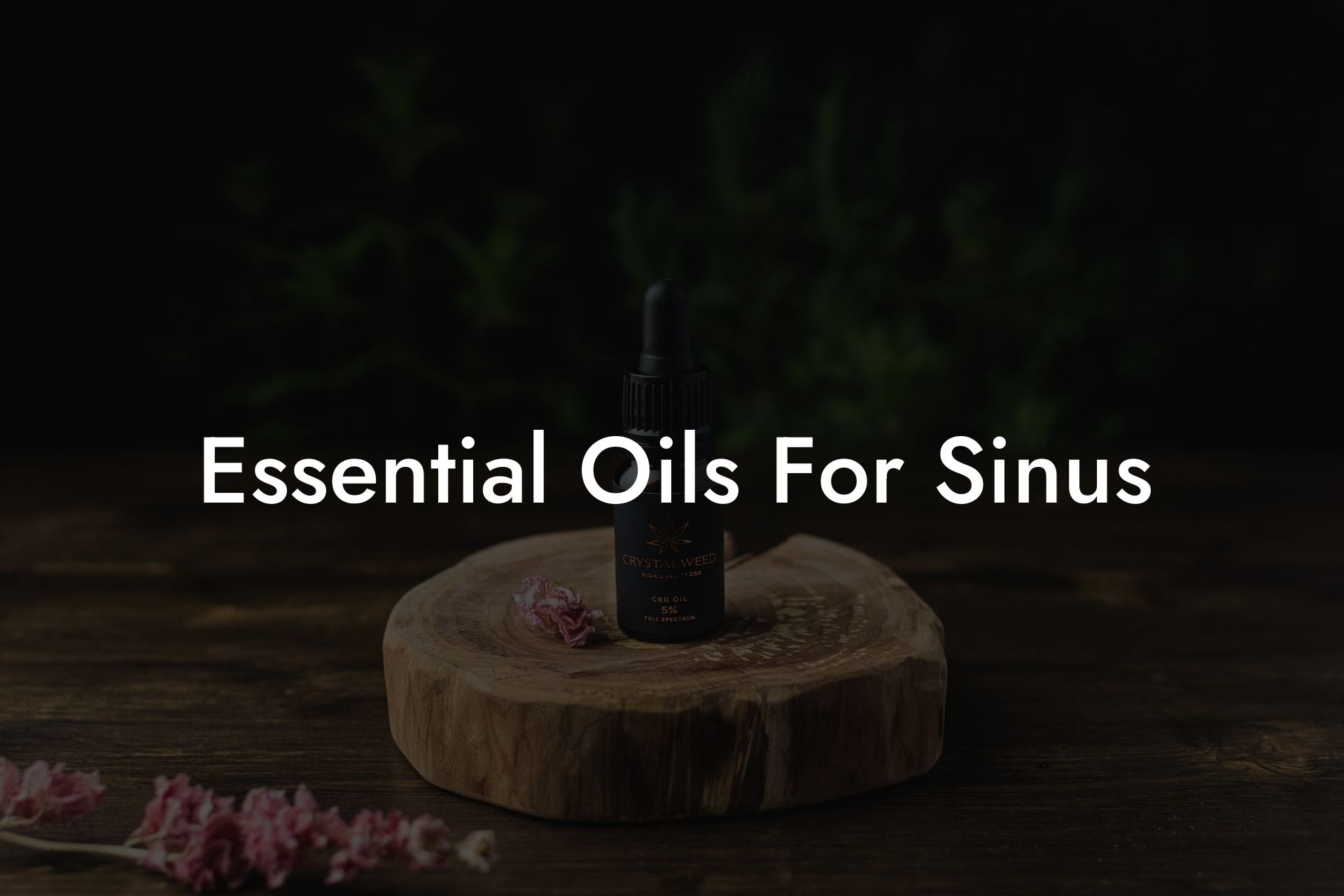 Essential Oils For Sinus