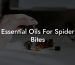 Essential Oils For Spider Bites
