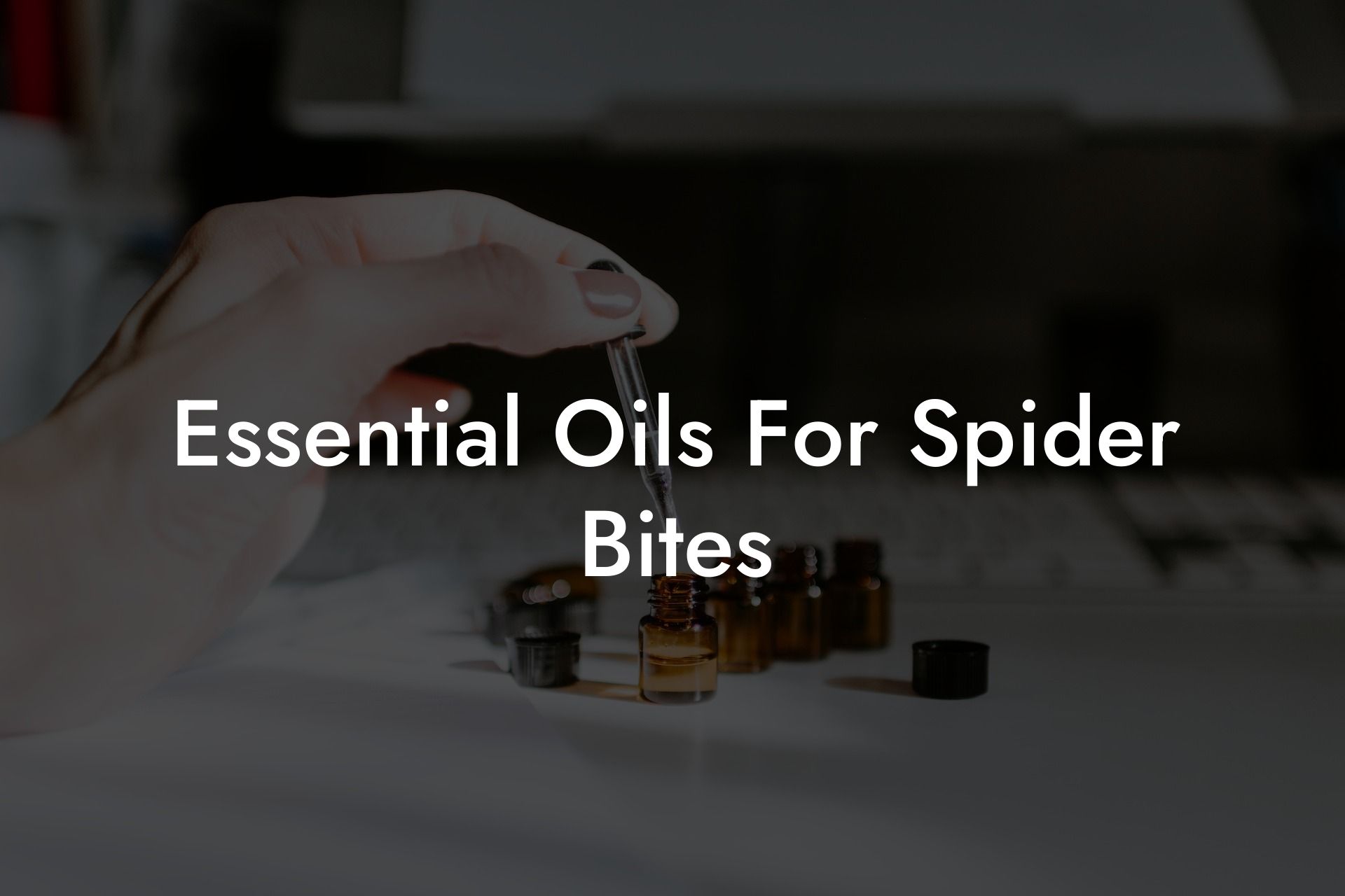 Essential Oils For Spider Bites