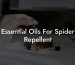 Essential Oils For Spider Repellent