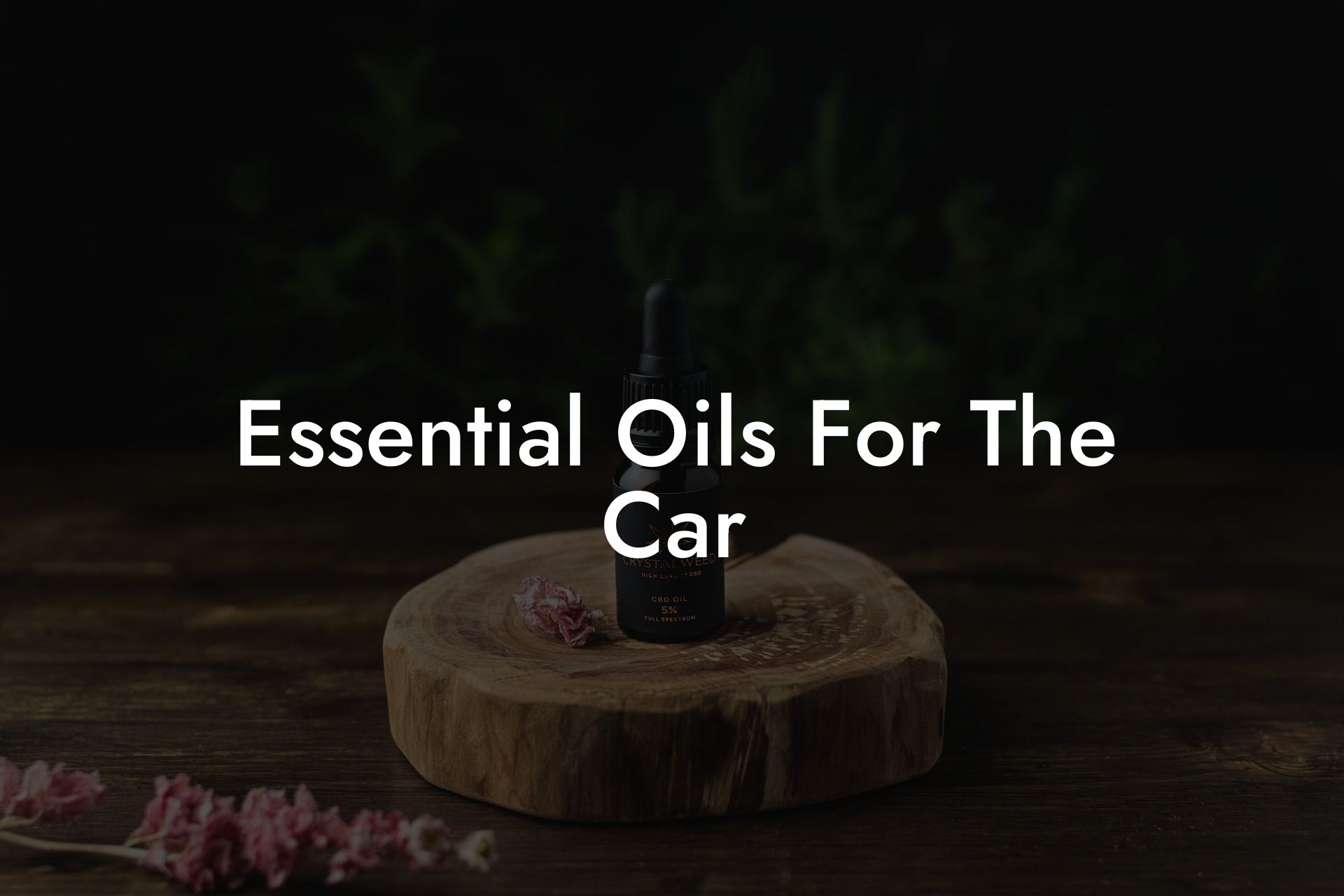 Essential Oils For The Car