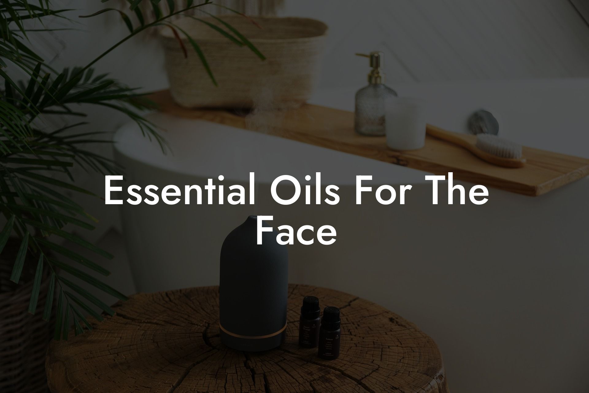 Essential Oils For The Face