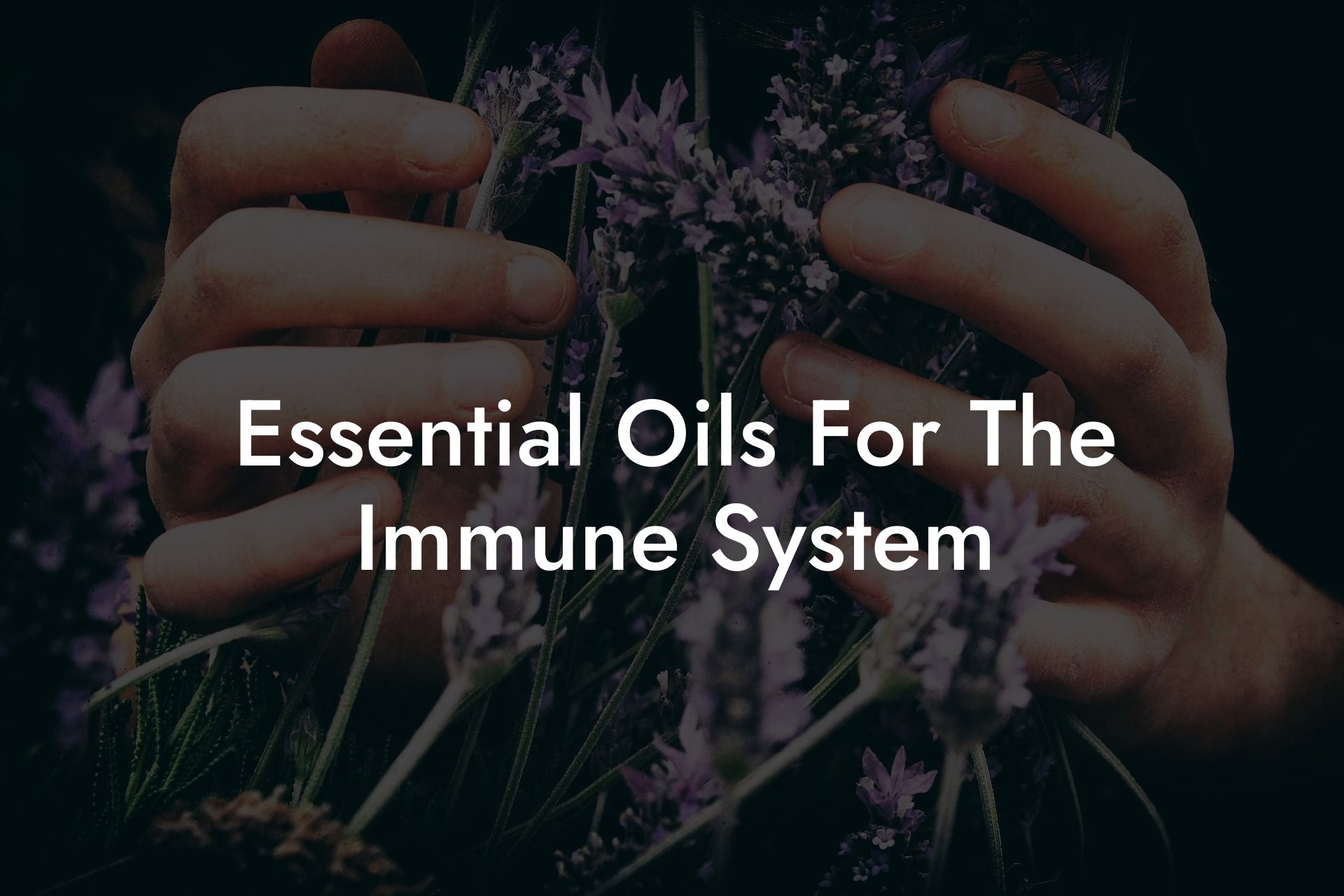 Essential Oils For The Immune System