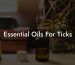 Essential Oils For Ticks