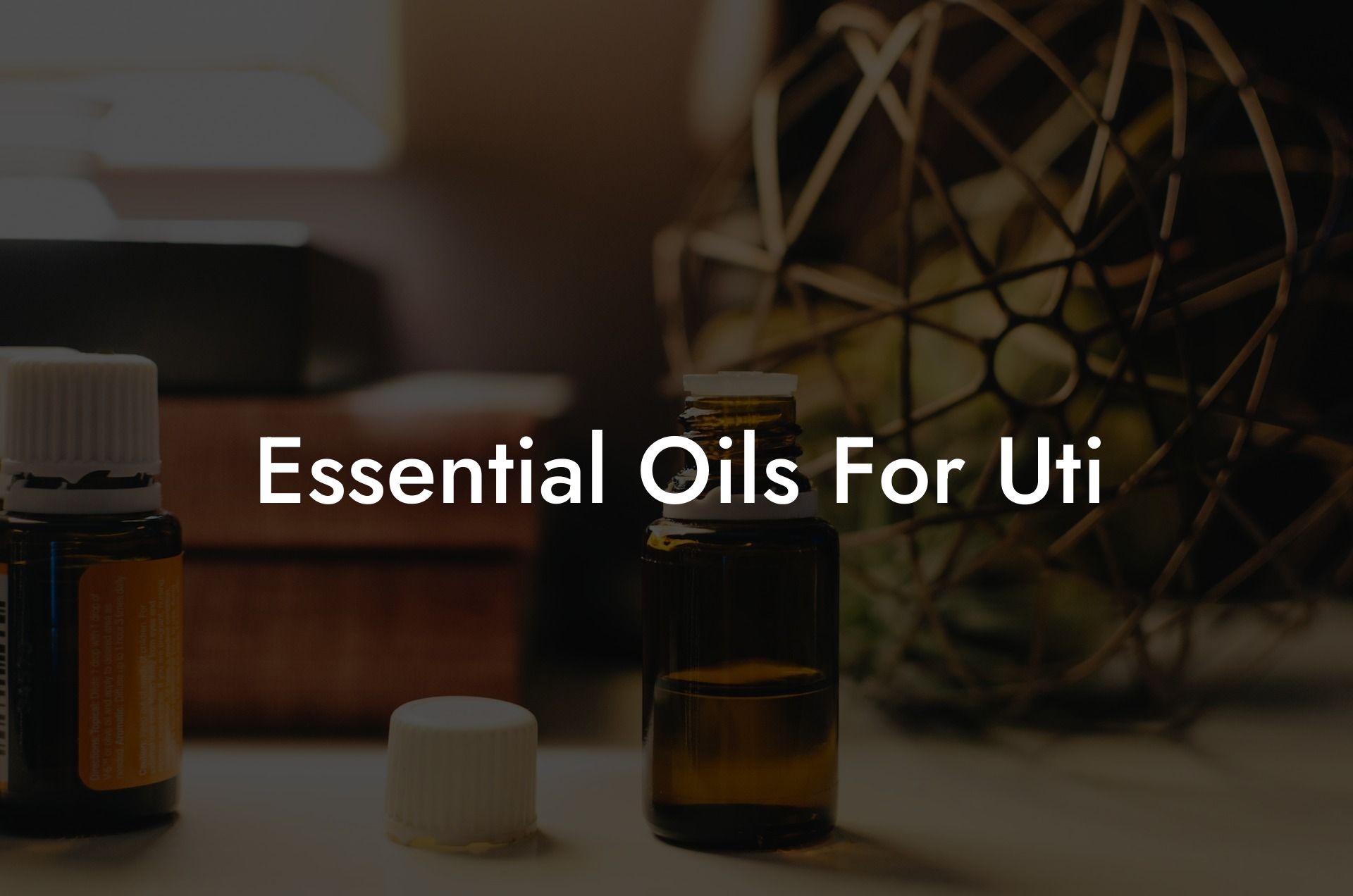 Essential Oils For Uti