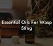 Essential Oils For Wasp Sting