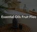 Essential Oils Fruit Flies