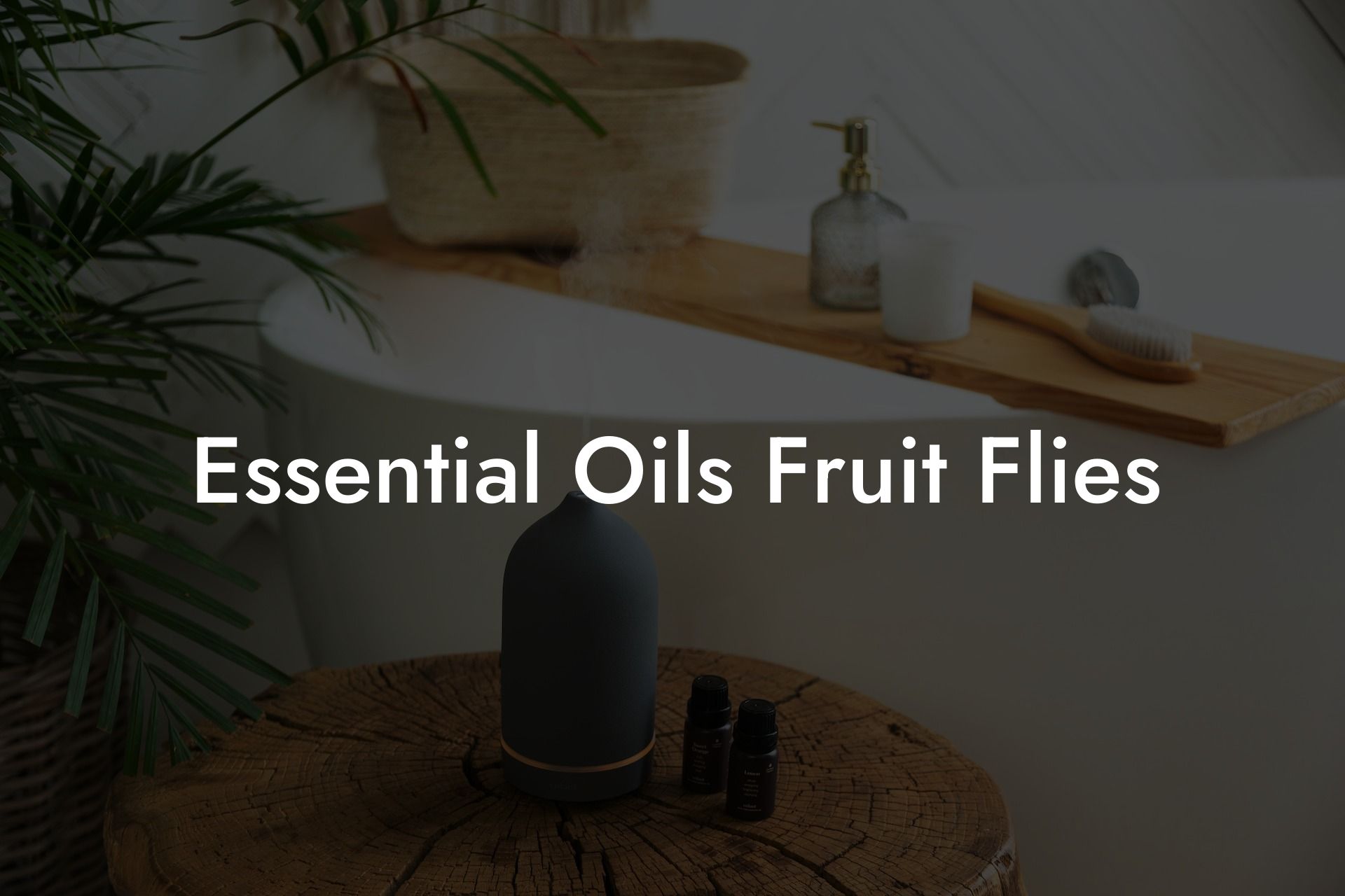Essential Oils Fruit Flies