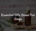 Essential Oils Good For Dogs