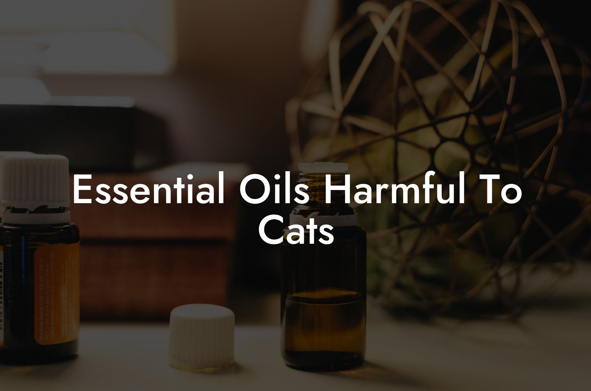 Essential Oils Harmful To Cats