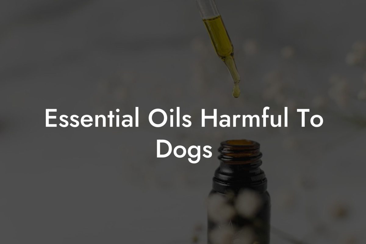 Essential Oils Harmful To Dogs