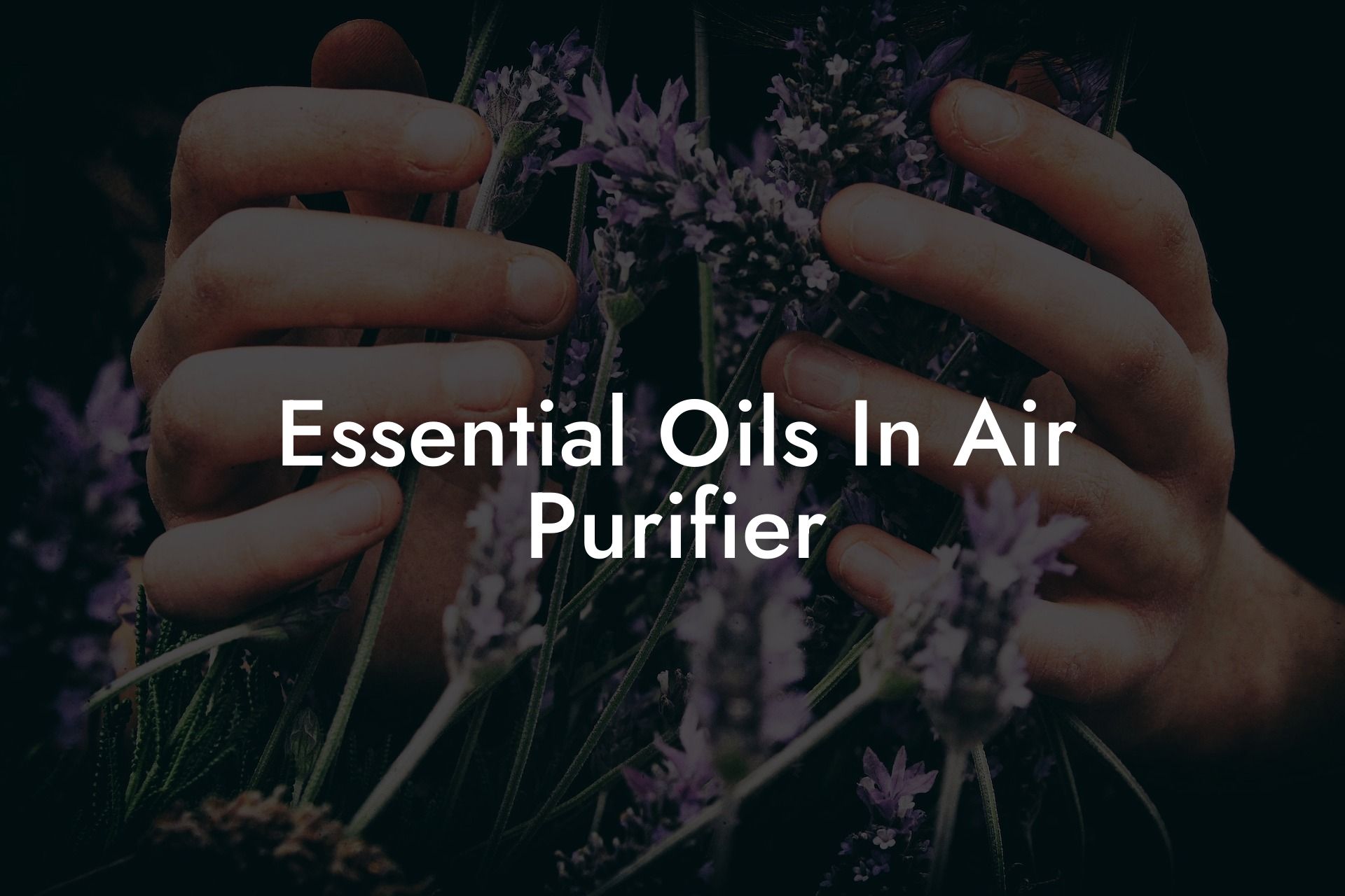 Essential Oils In Air Purifier