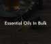 Essential Oils In Bulk