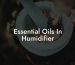 Essential Oils In Humidifier