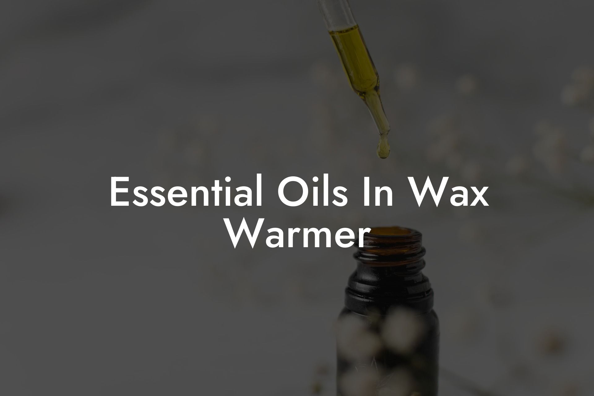Essential Oils In Wax Warmer