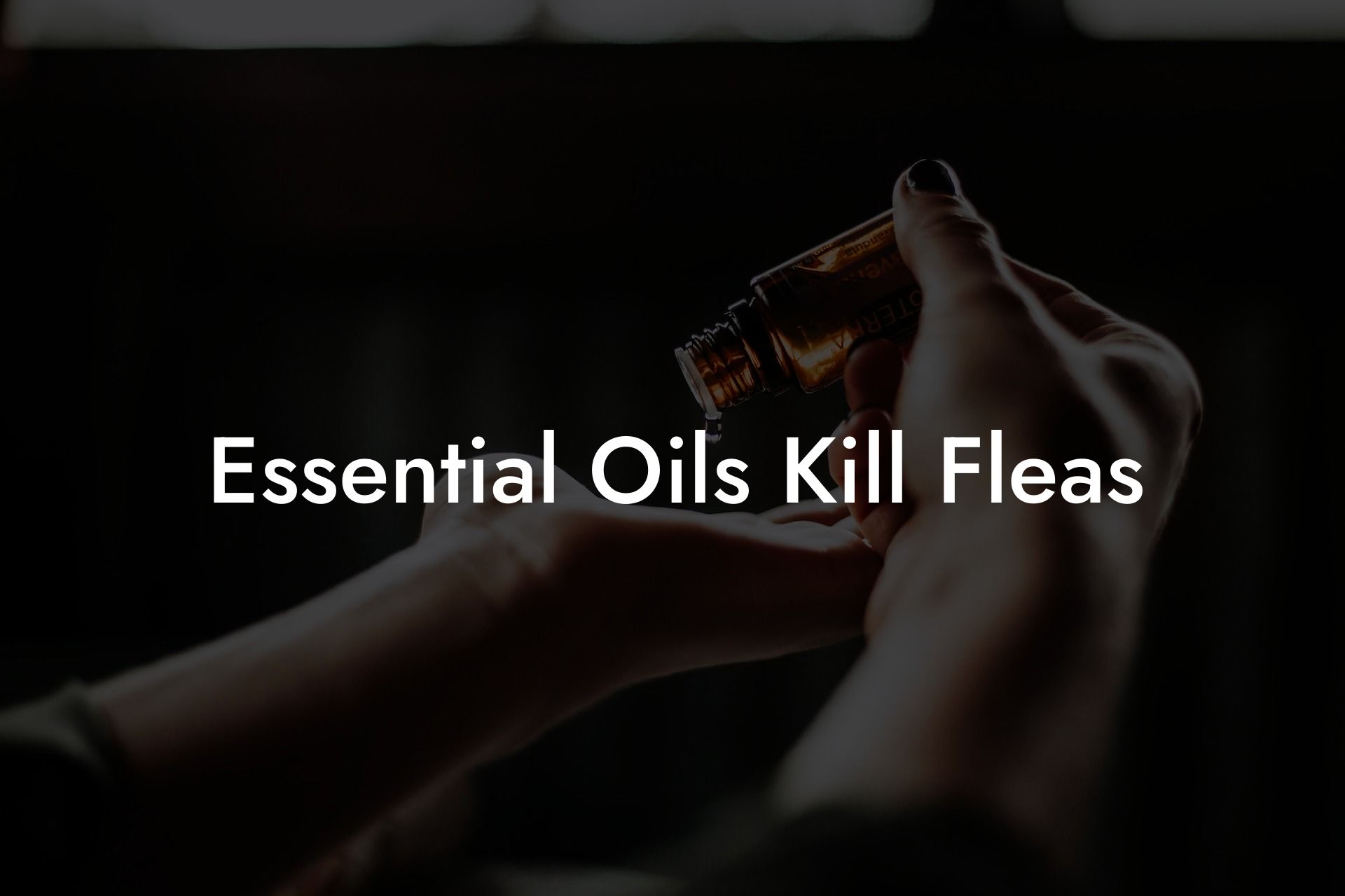 Essential Oils Kill Fleas