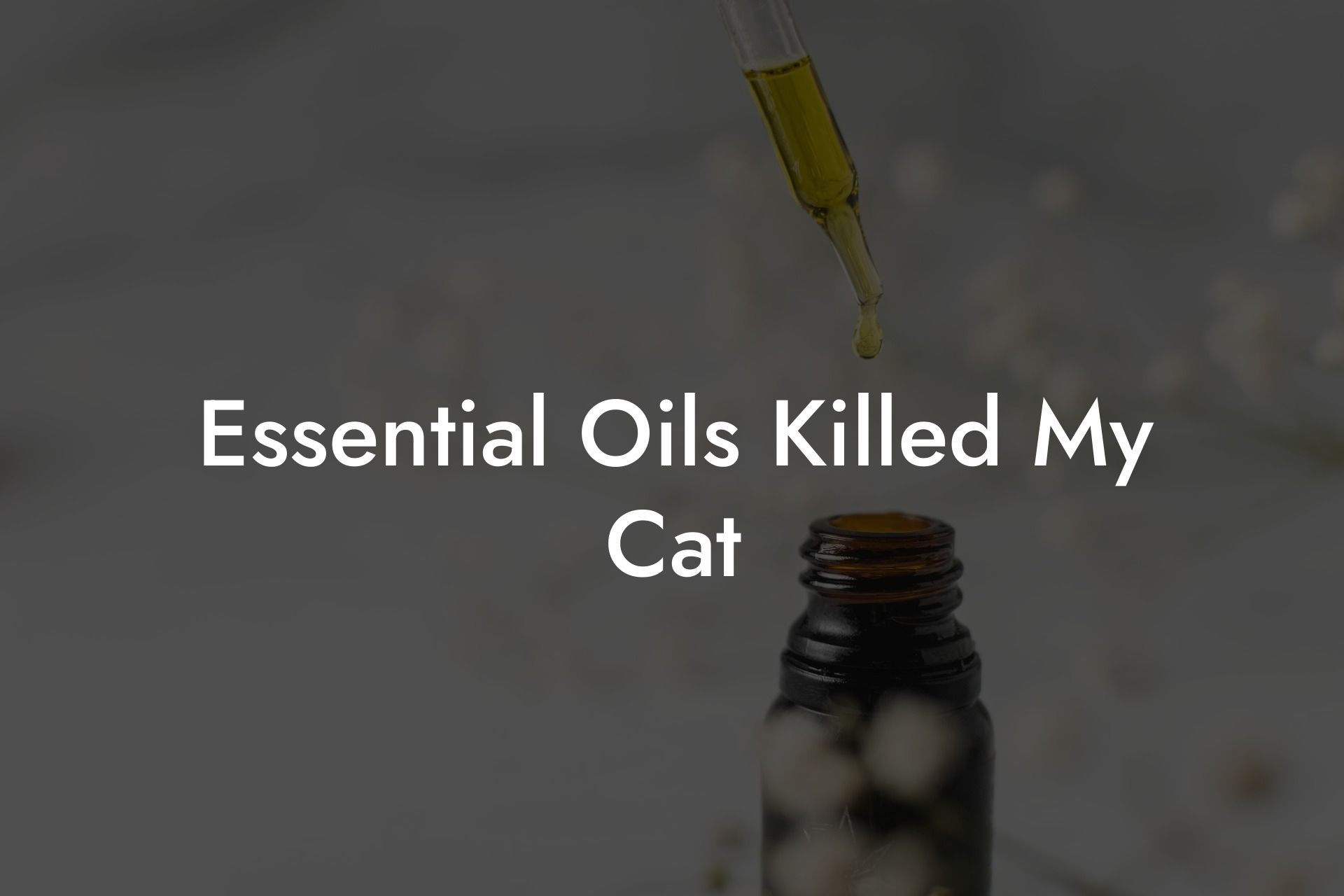 Essential Oils Killed My Cat