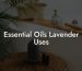 Essential Oils Lavender Uses